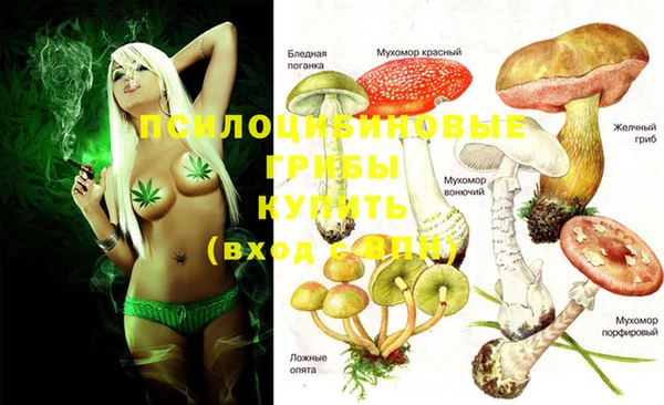 mix Алексин