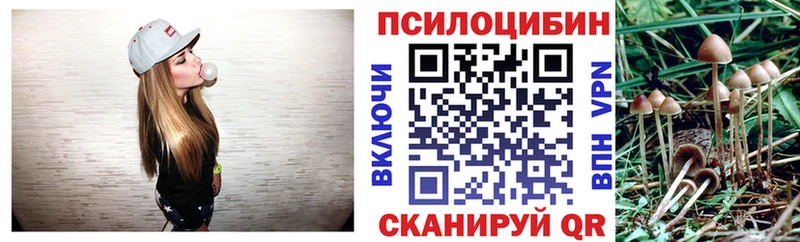 где можно купить наркотик  МЕГА ссылки  Галлюциногенные грибы Magic Shrooms  Белый 